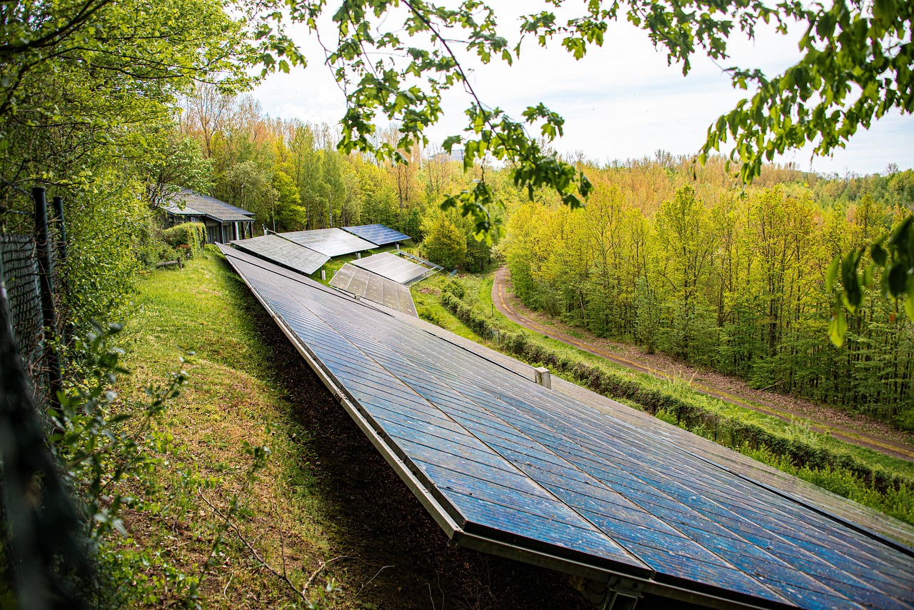 wwf fotovoltaico e biodiversità